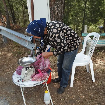 Sunset With Sea And Coastal Views Penthouse Apartament Kissonerga