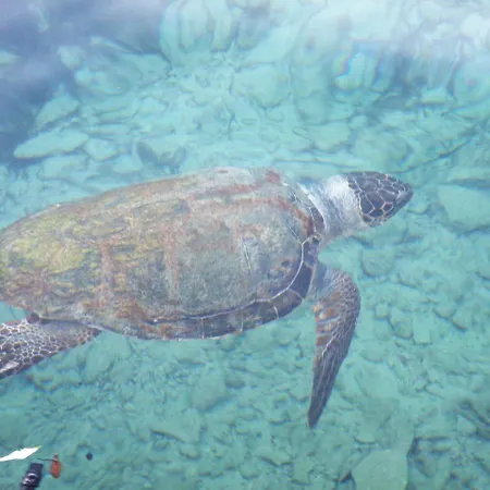 Sunset With Sea And Coastal Views Penthouse Kissonerga