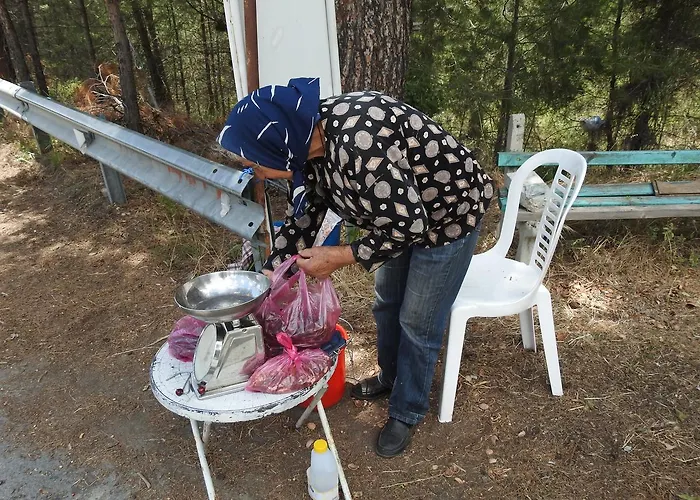 Sunset With Sea And Coastal Views Penthouse Апартаменты Киссонерга